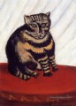 le chaton Henri Rousseau tabby